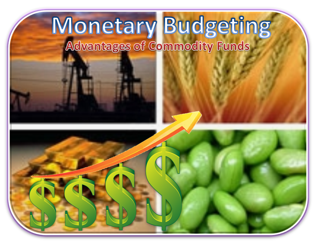 Monetary Budgeting